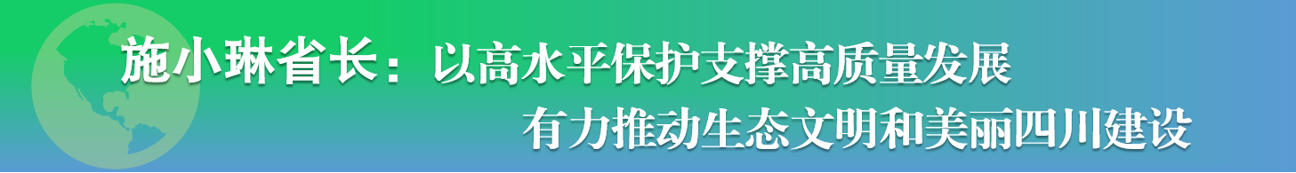 施小琳省长讲话