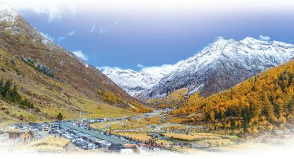 8ceb052bdf1968e03651d4acc7cf1aca_0e74e41a5f2029dfc84c83fe20f81451.jpg 8ceb052bdf1968e03651d4acc7cf1aca_0e74e41a5f2029dfc84c83fe20f81451.jpg