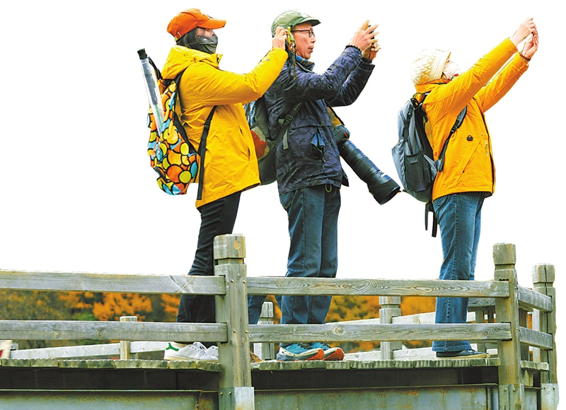 d8fef76f494bce80b41863c3560a7d6c_fcfb6f2ee2ef5893cc9916afd250d6cb.jpg d8fef76f494bce80b41863c3560a7d6c_fcfb6f2ee2ef5893cc9916afd250d6cb.jpg